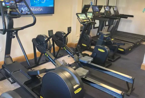 Gym & Fitness