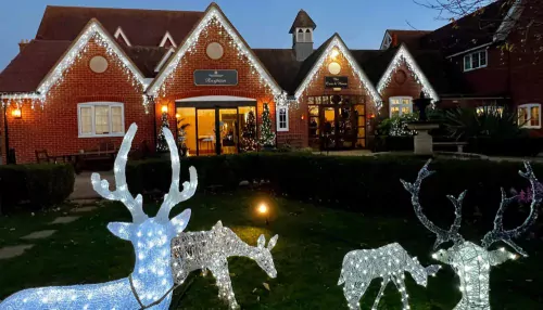 Ready to Celebrate the Festive Season with You