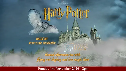 Harry Potter Halloween Special