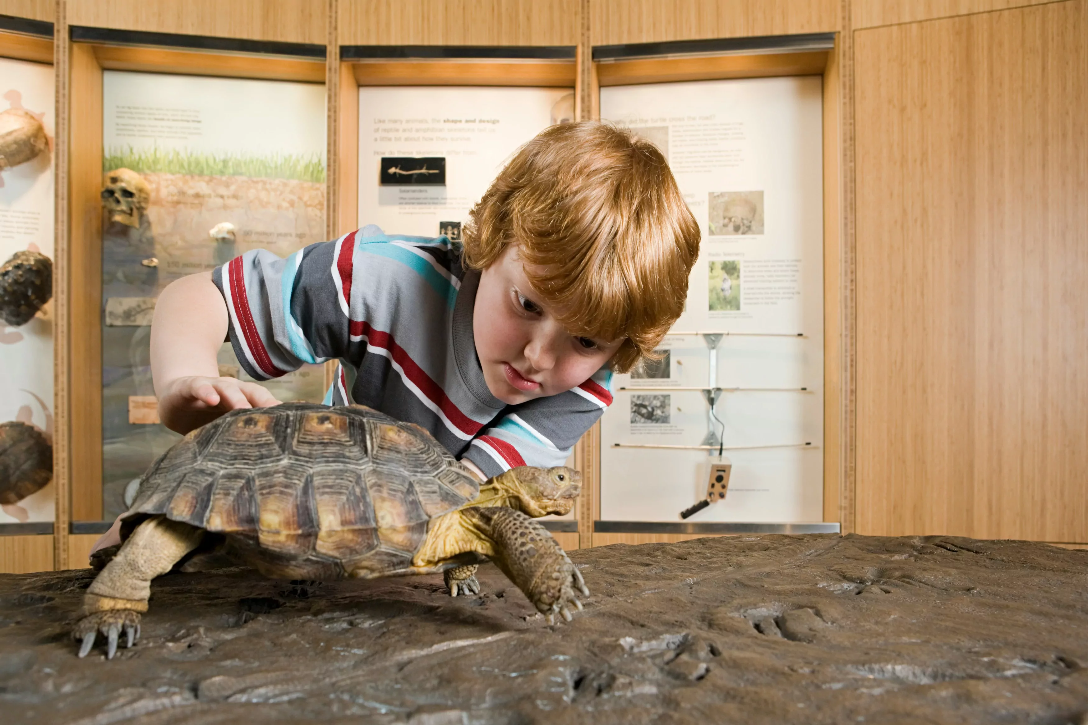 What to do with kids this winter near Hempstead House (without spending a fortune)